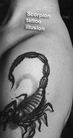 tattoos 3d. Cool 3d Scorpion tattoo